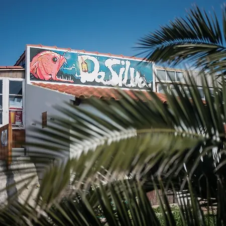 Albergue Da Silva Surfcamp *