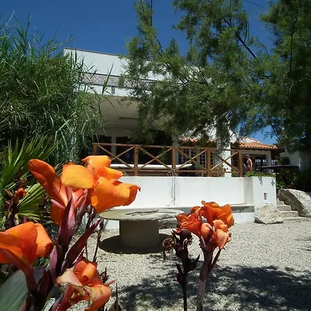 Albergue Da Silva Surfcamp Areia Branca