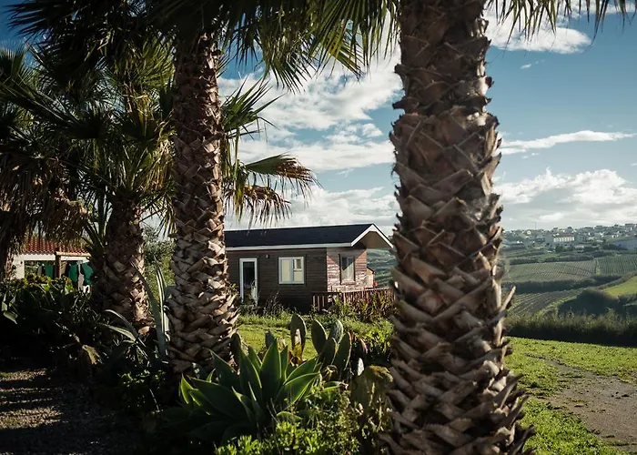 Albergue Da Silva Surfcamp