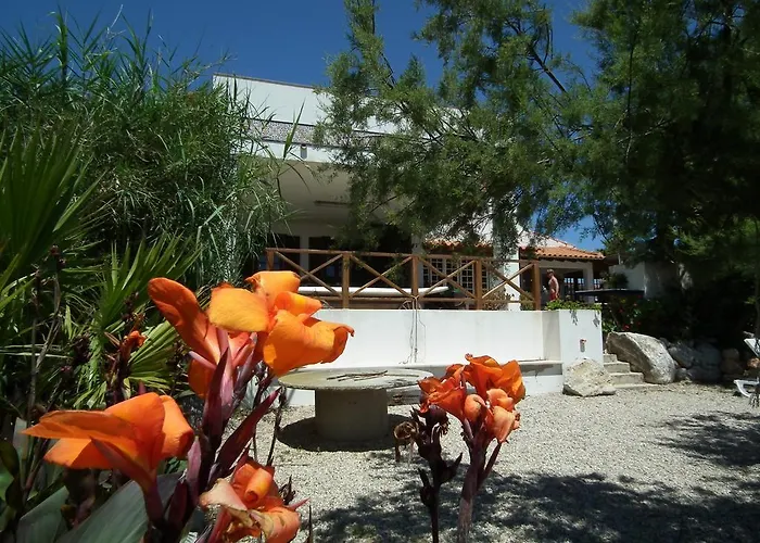 Albergue Da Silva Surfcamp Areia Branca